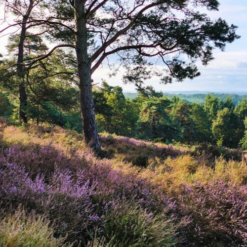 Herbstwandern im nördlichen Osnabrücker Land
