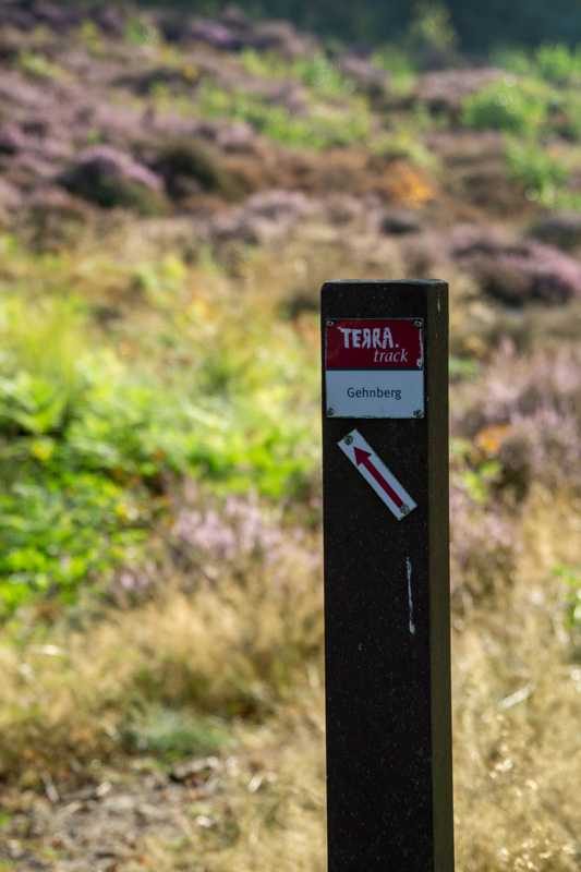 Holzstele mit Wanderhinweis TERRA.track Gehnberg