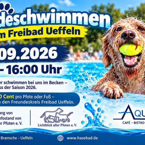 Badespaß für Vierbeiner