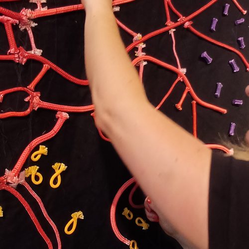 Finissage zur Ausstellung „Verbindungen – Bramsche textil gesehen“