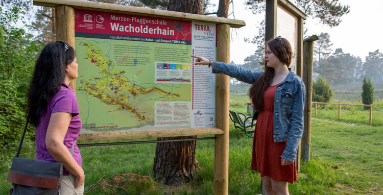 Wacholderhain in Merzen-Plaggenschale